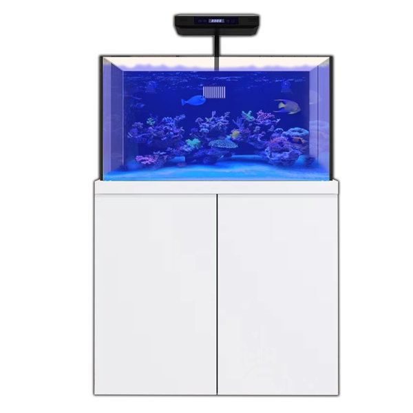 AQUA DREAM Coral Reef Aquarium 100 Gallon Fish Tank Complete Set Wayfair